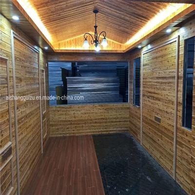 Portable Small Size Container Villa